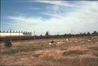 6.3.1993 Gillman - Red Hens for scrapping at Simms