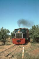 30<sup>th</sup> March 1997 Walloway - NC1 + FNTC7829 + AR 50