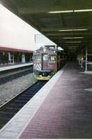 6.5.1996 365 + 432 at Adelaide