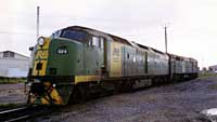 'pf_1339 - 3.9.1997 - CLF4 + 703 at Port Flat                '